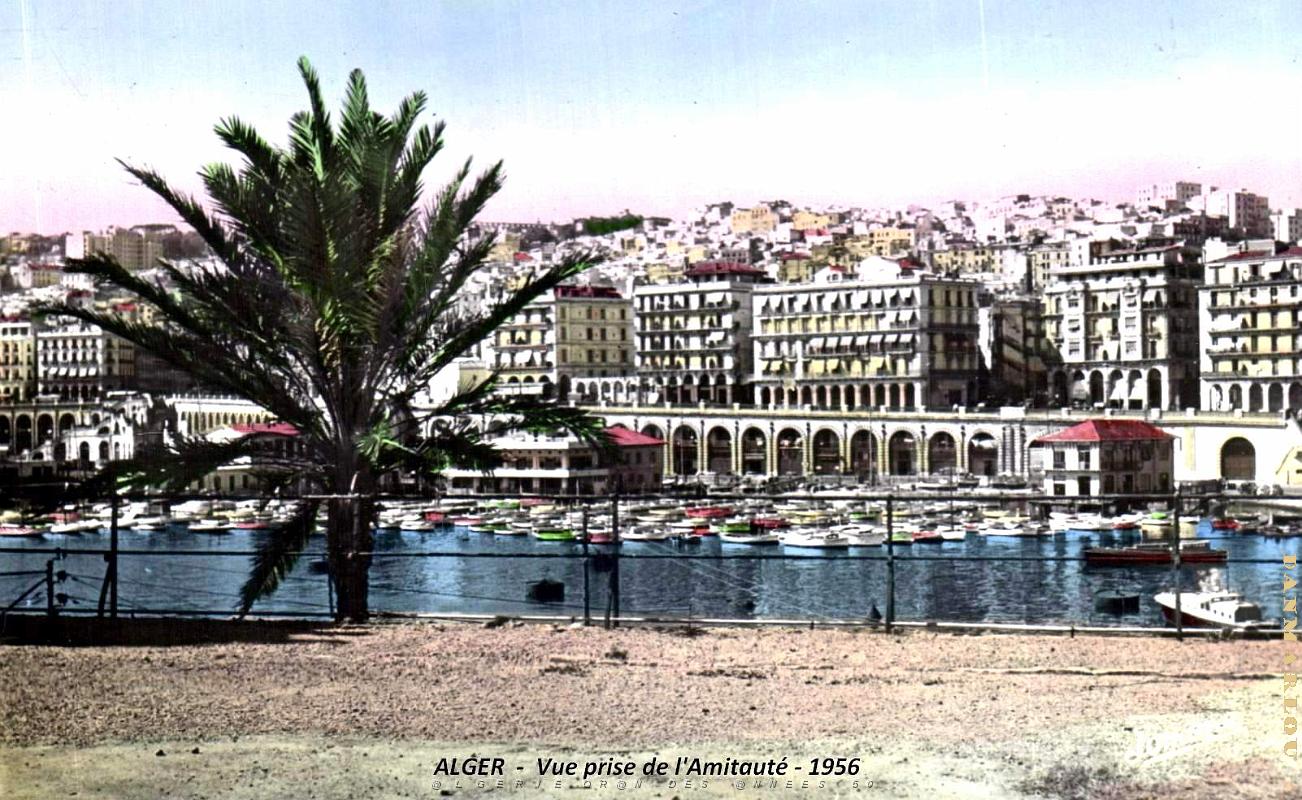 Alger - Vue prise de l'Amiraute - 1956.jpg